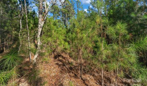 Photo #26 of Old Douglass, Blackstock, SC