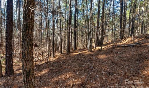 Photo #6 of Old Douglass, Blackstock, SC