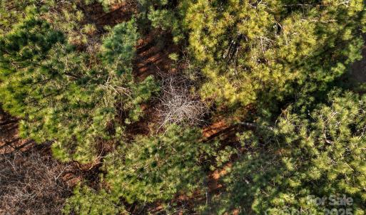 Photo #25 of Old Douglass, Blackstock, SC