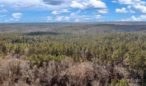 Photo #23 of Old Douglass, Blackstock, SC