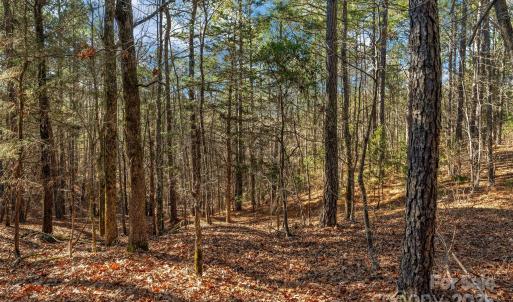 Photo #16 of Old Douglass, Blackstock, SC