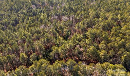 Photo #17 of Old Douglass, Blackstock, SC
