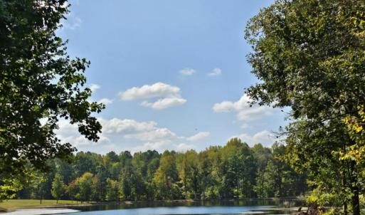 Photo #6 of 210 Fancy Lady, York, SC