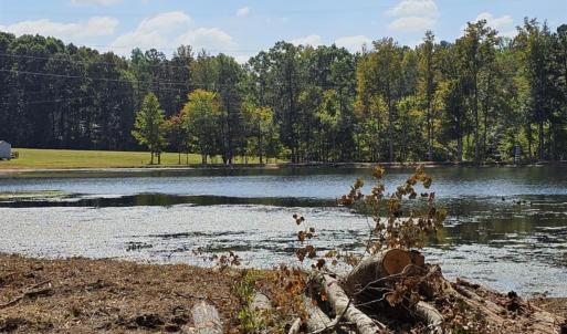 Photo #13 of 210 Fancy Lady, York, SC