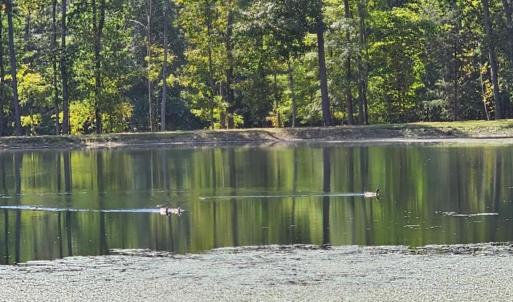 Photo #10 of 210 Fancy Lady, York, SC