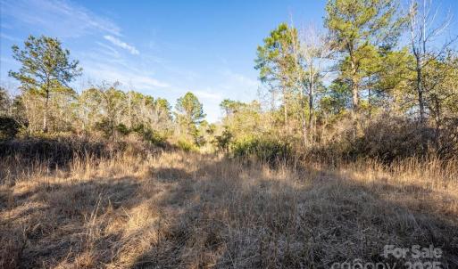Photo #28 of off Camp Oak, Dover, NC