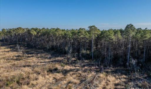 Photo #19 of off Camp Oak, Dover, NC