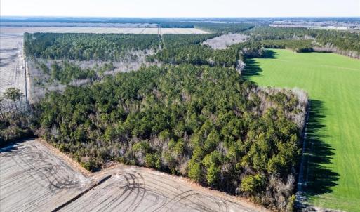 Photo #6 of off Camp Oak, Dover, NC