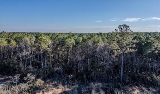 Photo #18 of off Camp Oak, Dover, NC