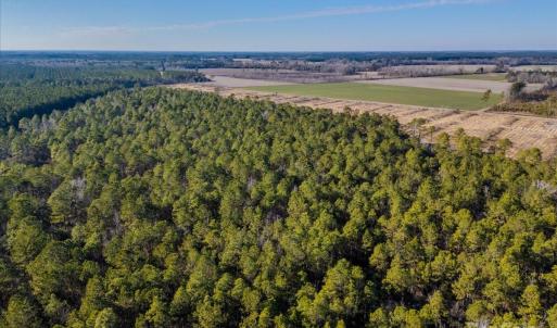 Photo #16 of off Camp Oak, Dover, NC