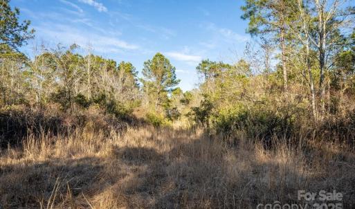 Photo #29 of off Camp Oak, Dover, NC