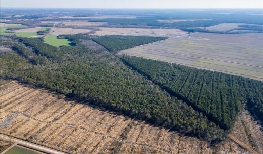 Photo #13 of off Camp Oak, Dover, NC