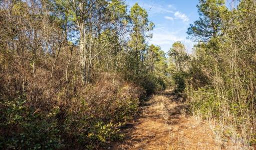 Photo #30 of off Camp Oak, Dover, NC