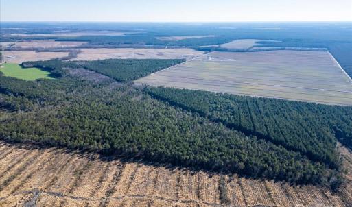 Photo #12 of off Camp Oak, Dover, NC