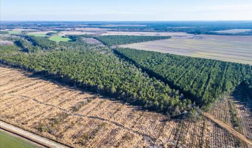 Photo #22 of off Camp Oak, Dover, NC