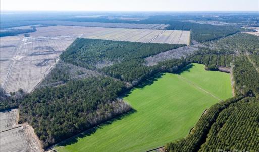 Photo #4 of off Camp Oak, Dover, NC