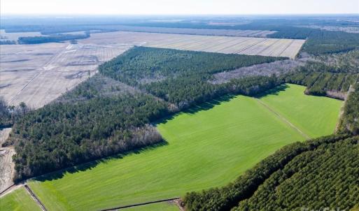 Photo #5 of off Camp Oak, Dover, NC
