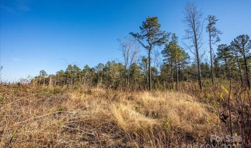 Photo #32 of off Camp Oak, Dover, NC