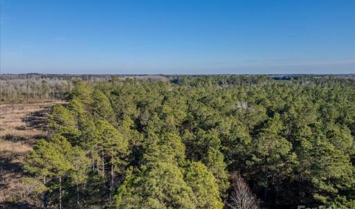 Photo #21 of off Camp Oak, Dover, NC