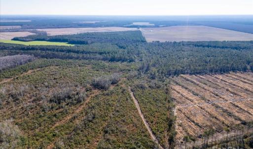 Photo #10 of off Camp Oak, Dover, NC