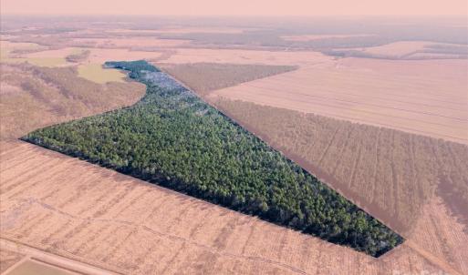 Photo #15 of off Camp Oak, Dover, NC