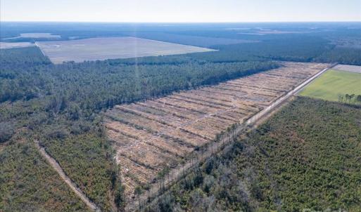 Photo #11 of off Camp Oak, Dover, NC
