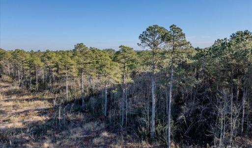 Photo #20 of off Camp Oak, Dover, NC