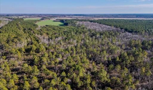 Photo #17 of off Camp Oak, Dover, NC