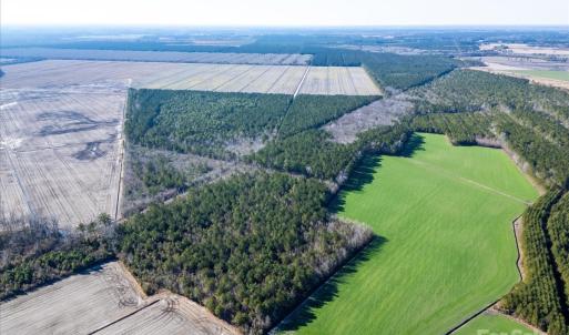 Photo #3 of off Camp Oak, Dover, NC