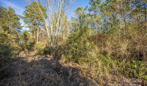 Photo #31 of off Camp Oak, Dover, NC