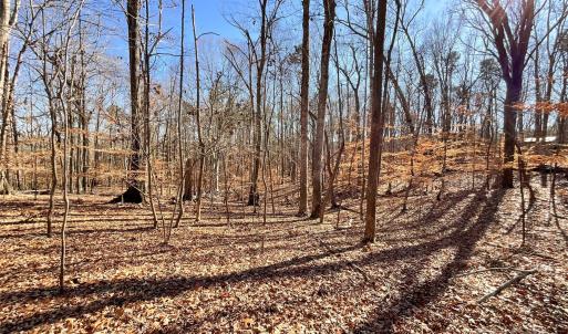 Photo #21 of 3009 Forest Lawn, Matthews, NC