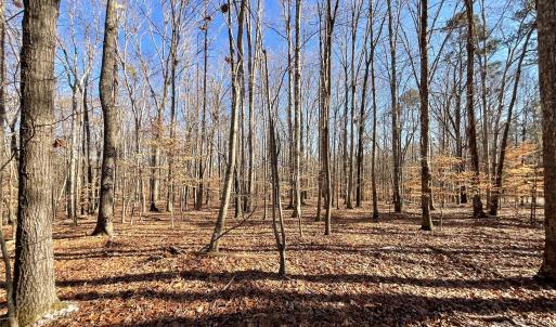 Photo #4 of 3009 Forest Lawn, Matthews, NC