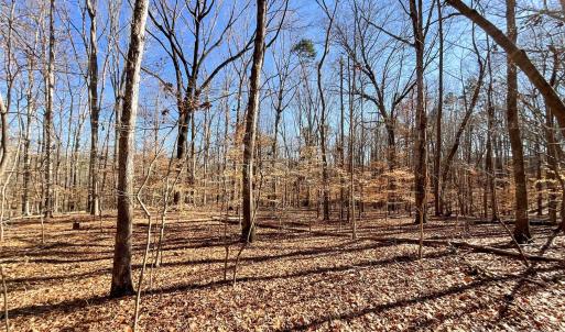 Photo #15 of 3009 Forest Lawn, Matthews, NC