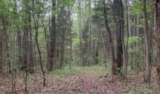 Photo #1 of 8.21 Acres Marshall, Rock Hill, SC