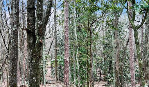 Photo #10 of 1777 Overbrook, Kershaw, SC