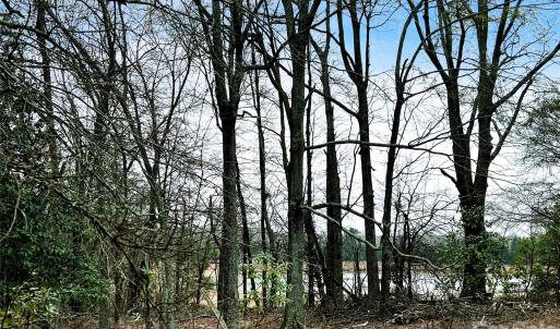 Photo #8 of 1777 Overbrook, Kershaw, SC