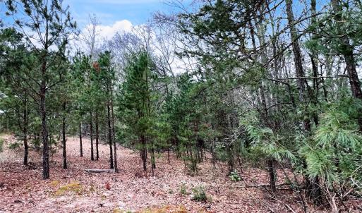 Photo #11 of 1777 Overbrook, Kershaw, SC