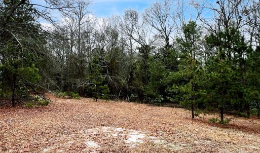 Photo #12 of 1777 Overbrook, Kershaw, SC