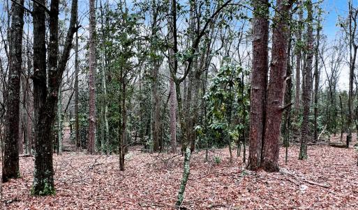 Photo #9 of 1777 Overbrook, Kershaw, SC