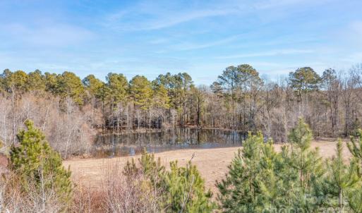 Photo #13 of TBD Mt Pisgah Church, Jefferson, SC