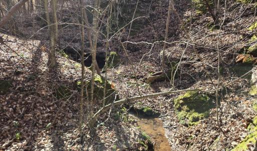 Photo #11 of 109 NC Highway 109, Wadesboro, NC