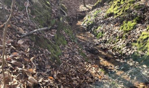 Photo #10 of 109 NC Highway 109, Wadesboro, NC
