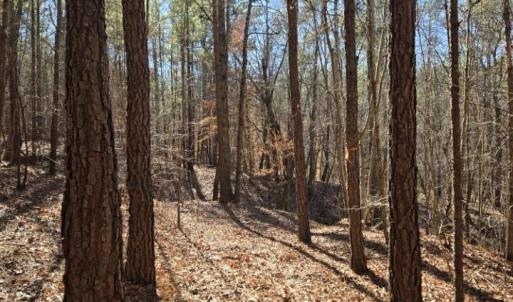 Photo #8 of 109 NC Highway 109, Wadesboro, NC