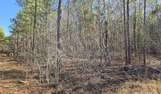 Photo #9 of 109 NC Highway 109, Wadesboro, NC