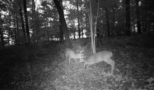 Photo #12 of 7210 Mission, Mount Pleasant, NC