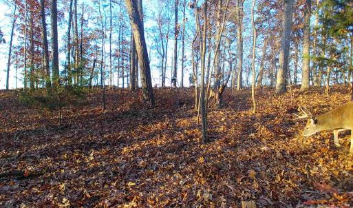 Photo #2 of 7210 Mission, Mount Pleasant, NC