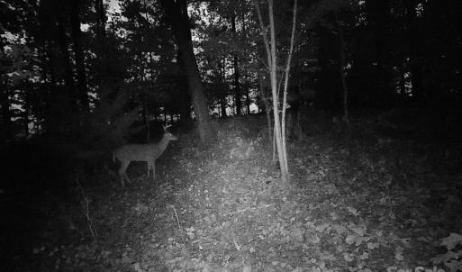 Photo #10 of 7210 Mission, Mount Pleasant, NC