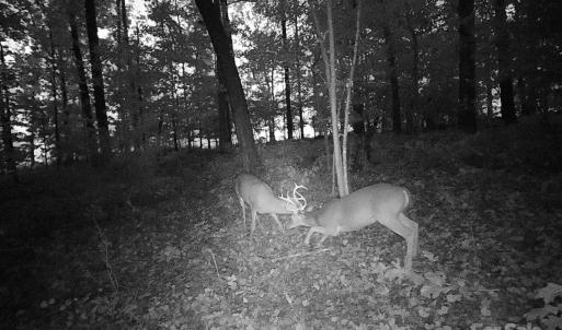 Photo #11 of 7210 Mission, Mount Pleasant, NC