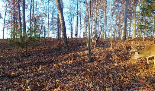 Photo #1 of 7210 Mission, Mount Pleasant, NC