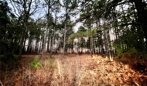 Photo #4 of TBD Wateree, Great Falls, SC